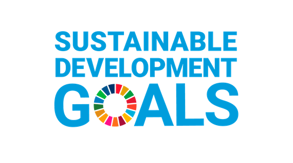 sustainable_development_goals 