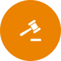 infringements_types_icon_13x2.png
