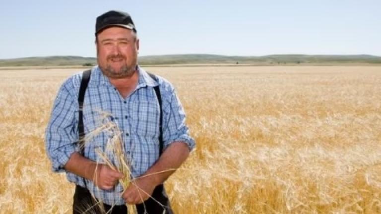 farmer-in-barley-field
