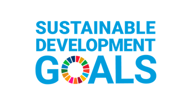 sustainable_development_goals 